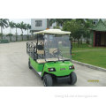 Cheap 2 Person Electric Golf Cargo Car (LT-A2. H8)